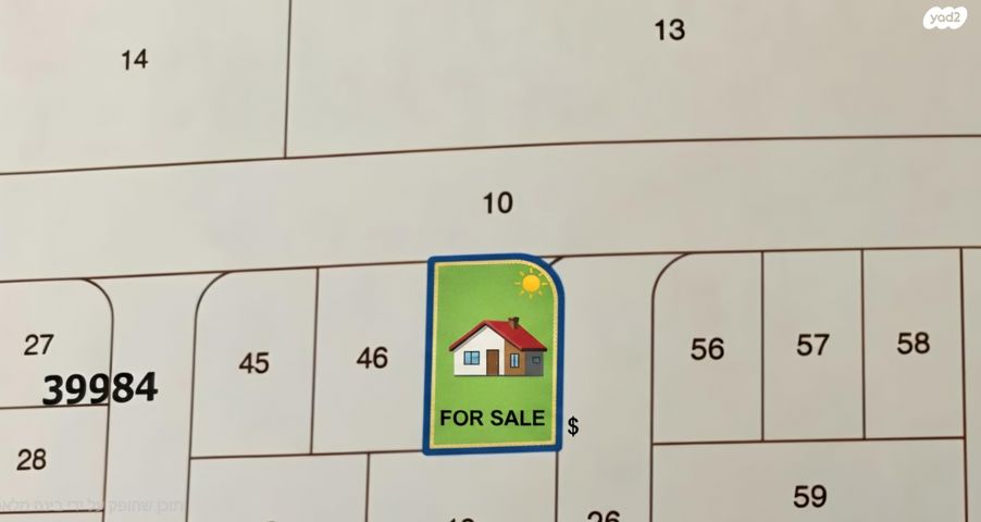 יהדות ארצות הברית 1