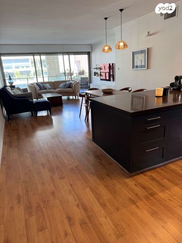 דוד אבידן 16