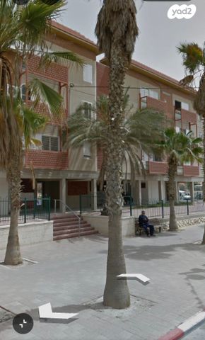 צבי בורנשטיין 655