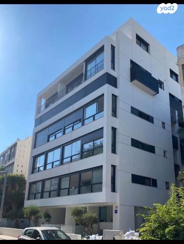 שלומציון המלכה 3