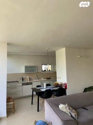 הרב הרצוג 14