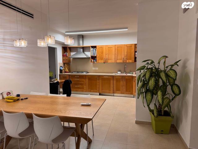 רחל המשוררת 11