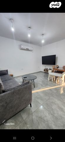 האקליפטוס 20