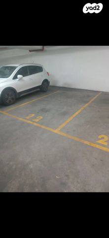 שדרת התמרים 1