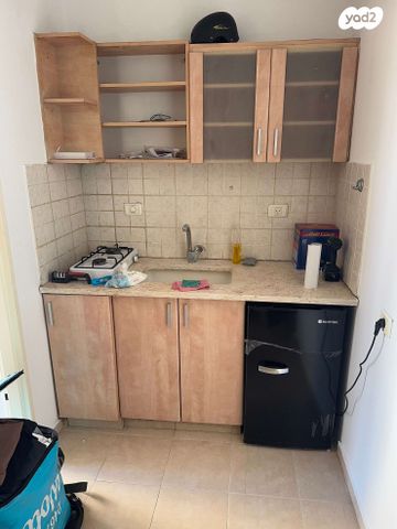 שבטי ישראל 33