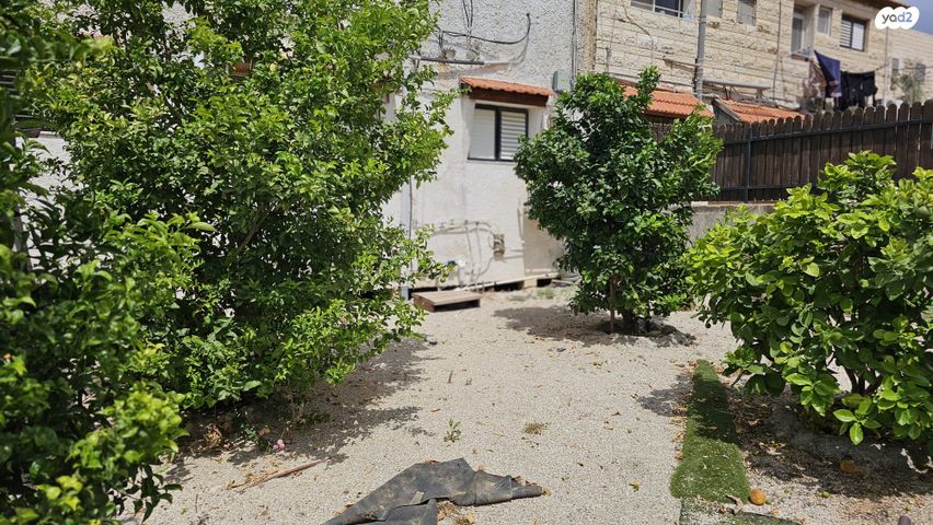 לוי אשכול 10