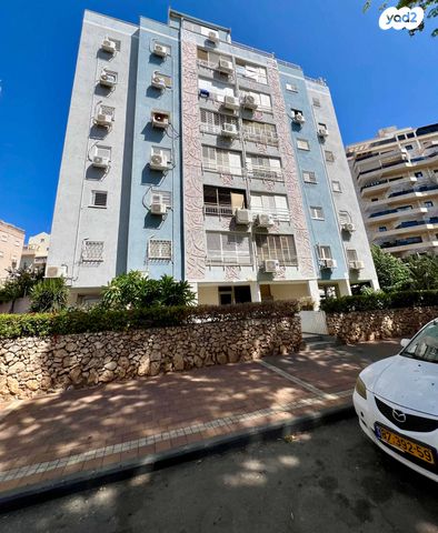 יהודה הלוי 49