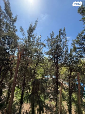 שיכון הותיקים