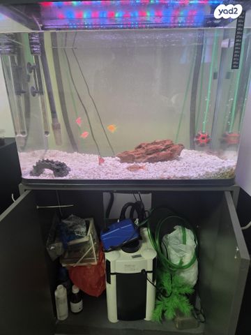 תמונת מודעה - חיות מחמד