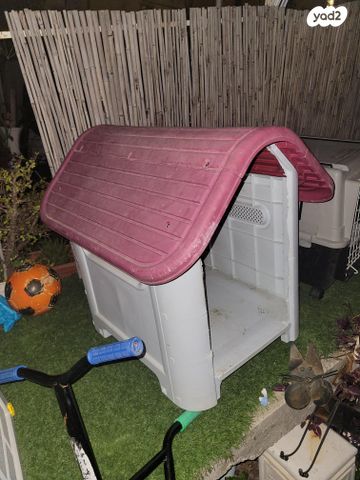 תמונת מודעה - חיות מחמד