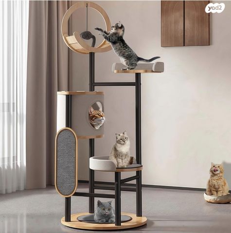 תמונת מודעה - חיות מחמד