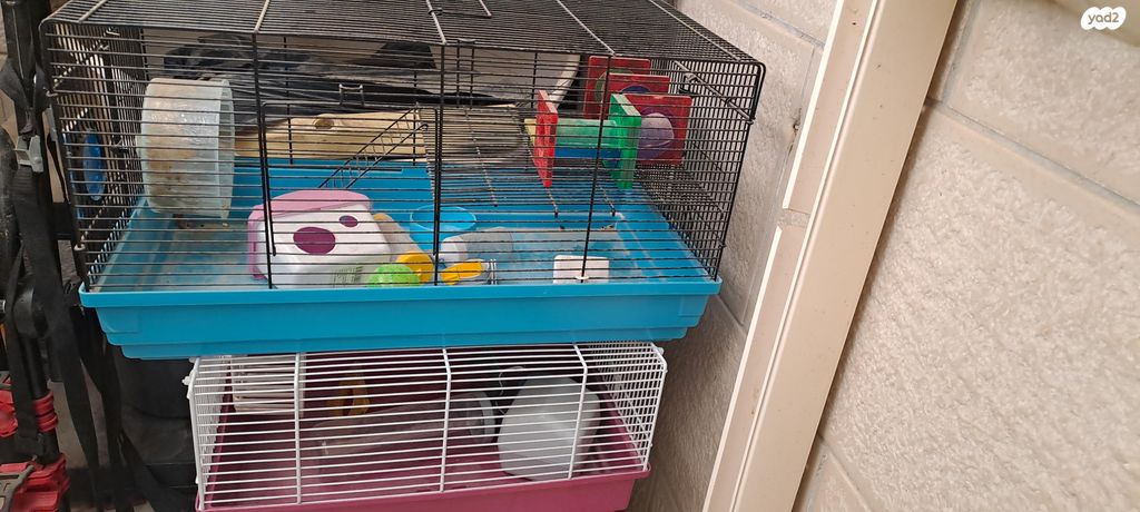 תמונת מודעה - חיות מחמד