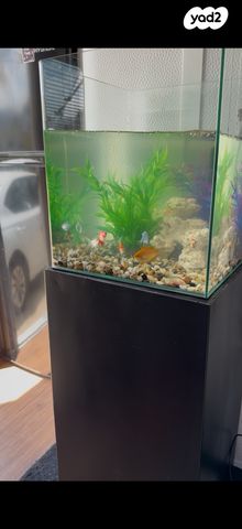 תמונת מודעה - חיות מחמד