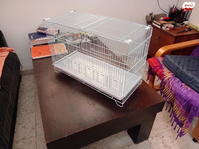 תמונת מודעה - חיות מחמד