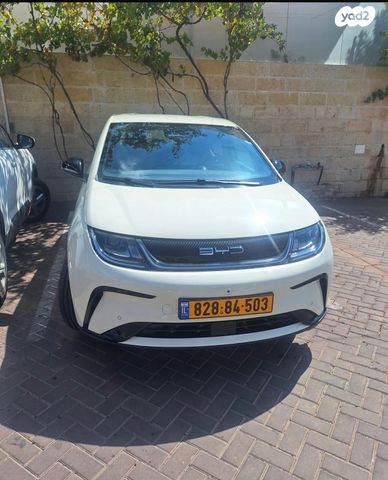 מודעת רכב בי.ווי.די דולפין