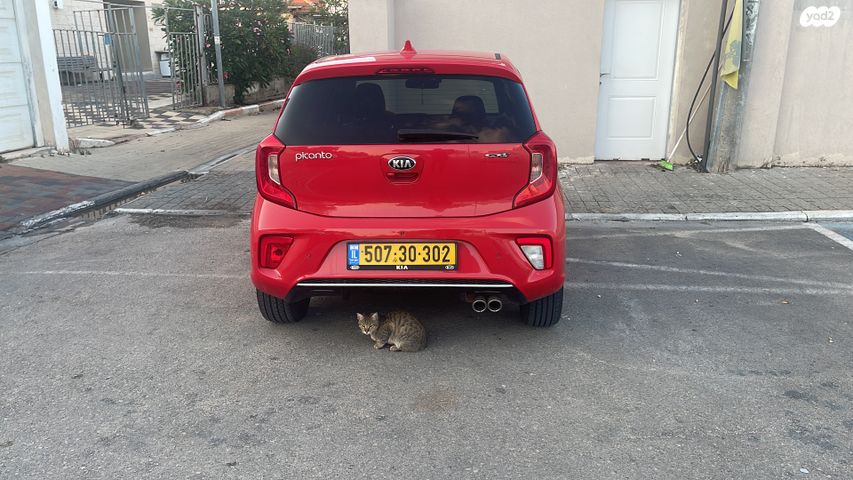 מודעת רכב קיה פיקנטו