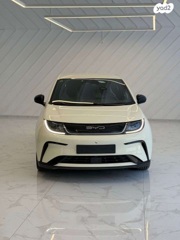 מודעת רכב בי.ווי.די דולפין