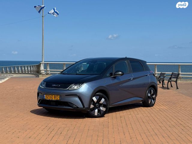 מודעת רכב בי.ווי.די דולפין