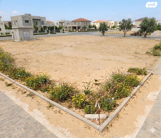 הים התיכון 1