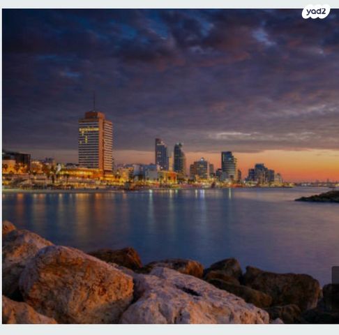 נורית הירש 10