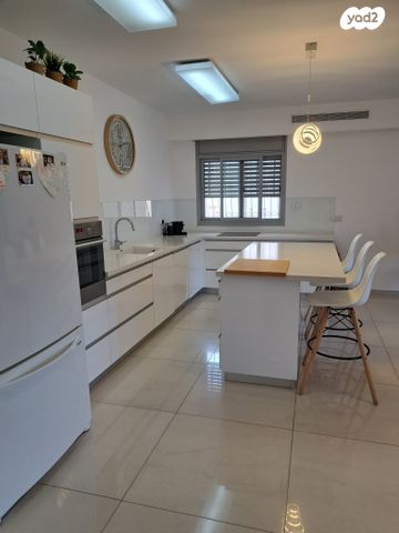 עוזי נרקיס 5