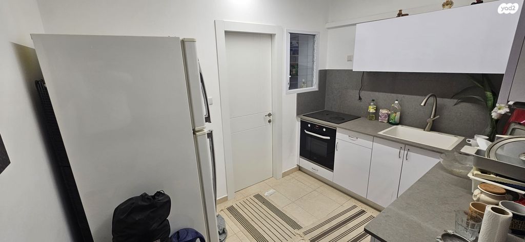 יהודה הלוי 50