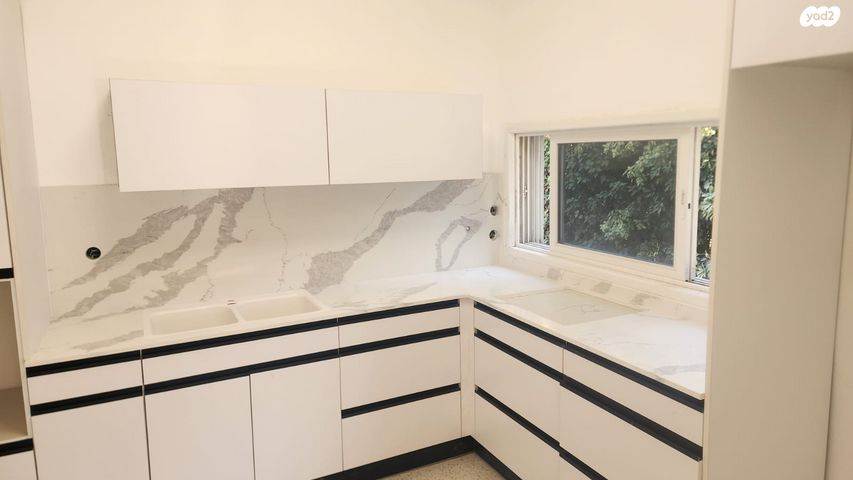 המוביל הארצי 20