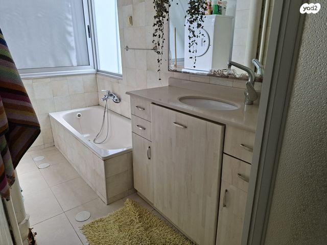 דוד שמעוני 19