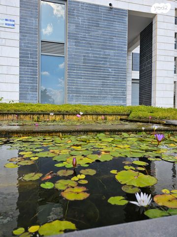 יצחק שמיר 11