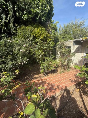 אלכסנדר זייד 45