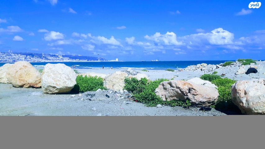 מרדכי נמיר 13