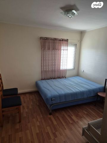 דוד אלעזר 863