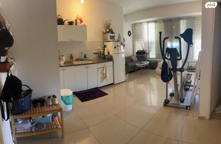 יהושע חנקין 2