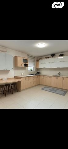 שמריהו לוין 2