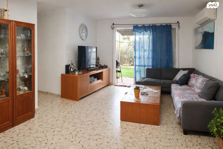 אירוס הארגמן 72