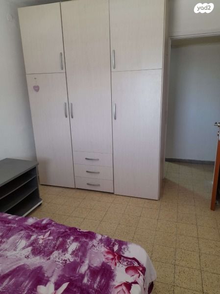 דוד פרישמן 2