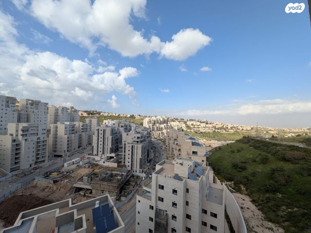 פרופסור יעקב נאמן 1