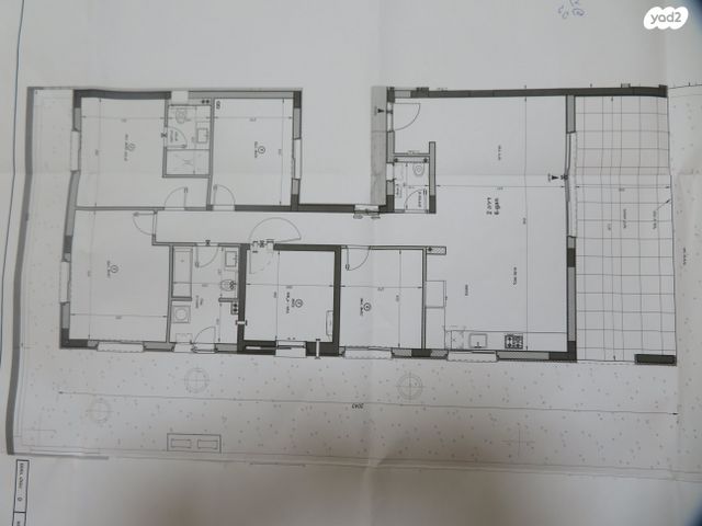 יצחק שמיר 100