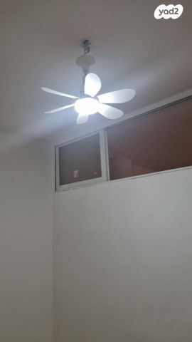 פרץ נפתלי 14