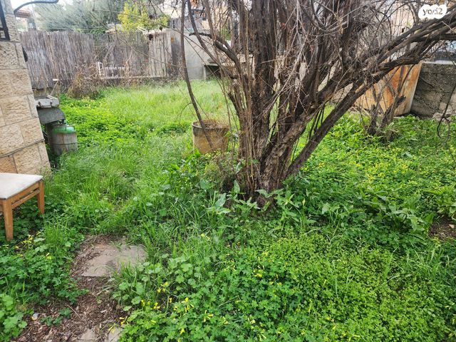 רבן יוחנן בן זכאי 15