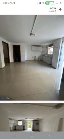 שלמה ומשה תג'ר 26