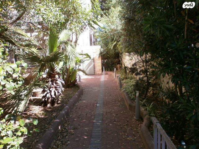 חיים לבנון 90