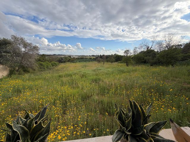 משק חקלאי/ נחלה