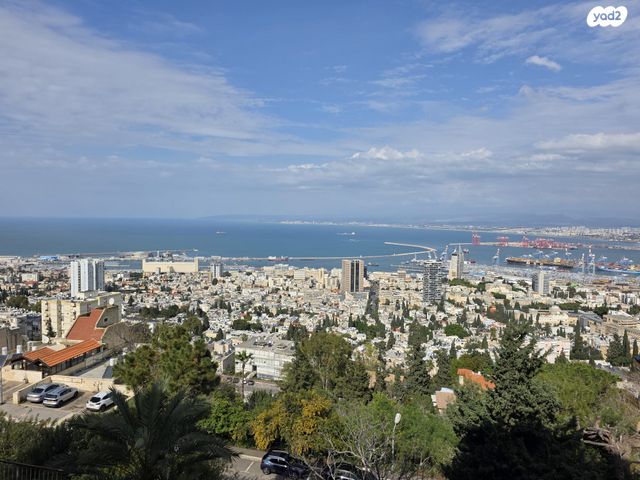 הנרייטה סולד 