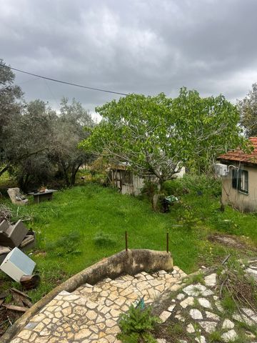 בית פרטי/ קוטג' למכירה בבית מאיר (תיווך) — 2