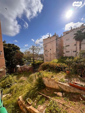 דוד בר רב האי 