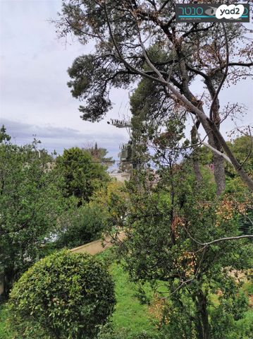 מודעת נכס, דוד פינסקי, מרכז הכרמל, חיפה