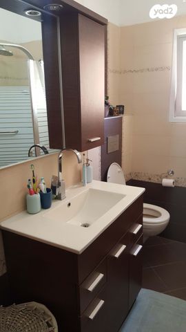 לסטר/רבוצקי