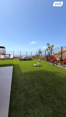 דורון מייבלום 