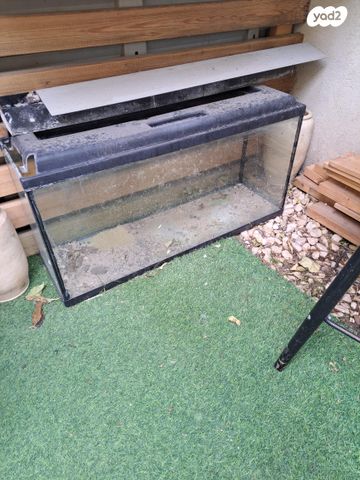 תמונת מודעה - חיות מחמד